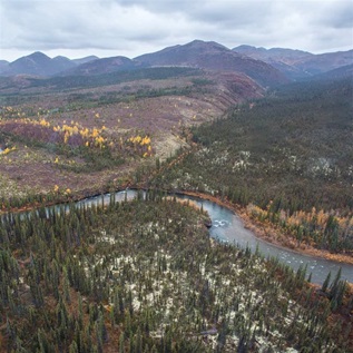 A winding river in Alaska, lined with green and yellow trees, a green river valley, and distant mountains.
