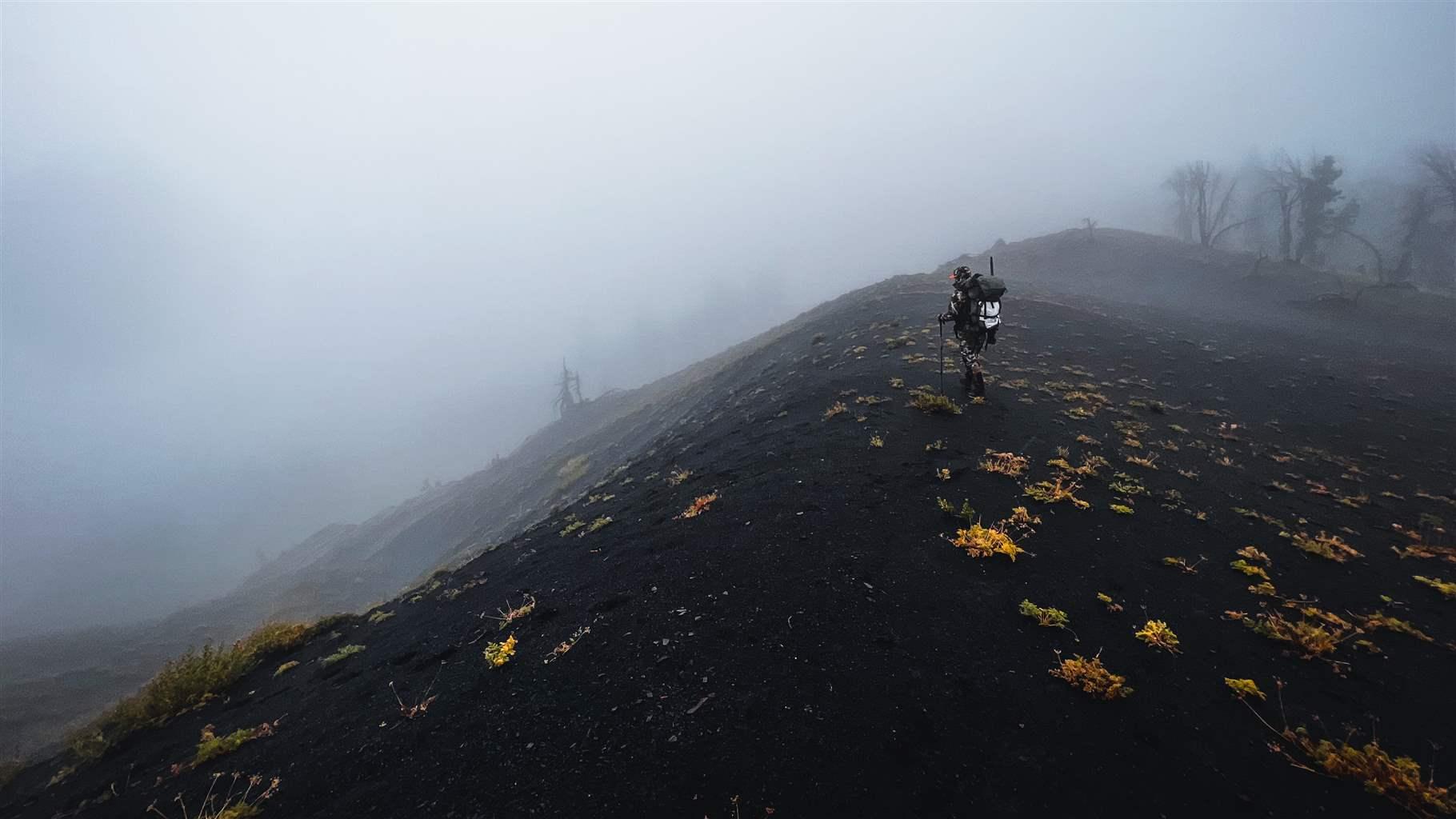 A man wearing a large, outdoors-style backpack walks through heavy mist along a ridge of darkened soil, which is pocked here and there by flowering yellow ground brush, with trees faintly visible in the background. 