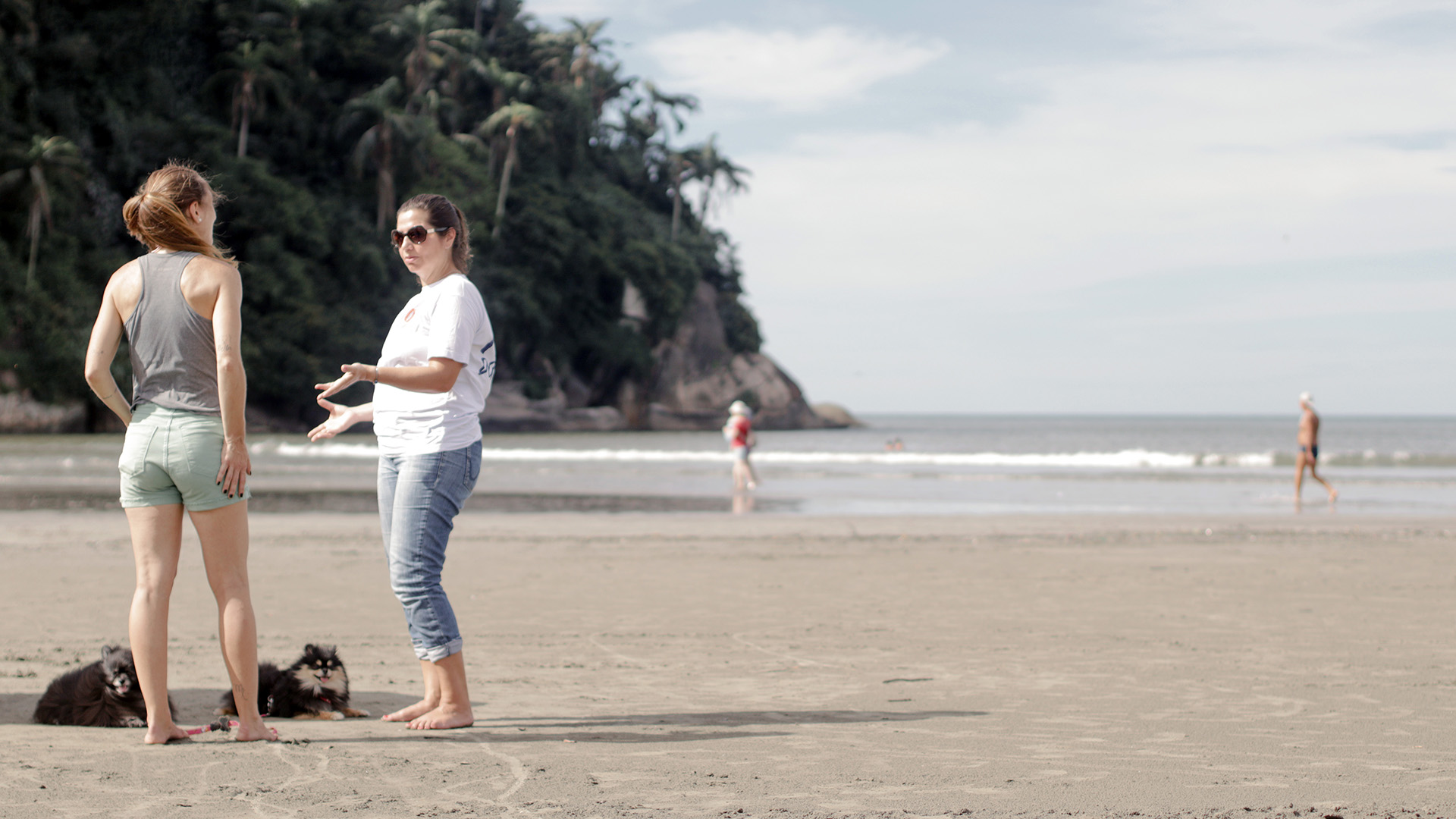 Two small dogs—one dark gray and one black with white highlights around its face and white and tan coloring on the tips of its paws—sit on the sand beside two women who are standing and talking on the beach. In the background, a couple of other beachgoers stroll along the water’s edge near the palm tree-lined coast.