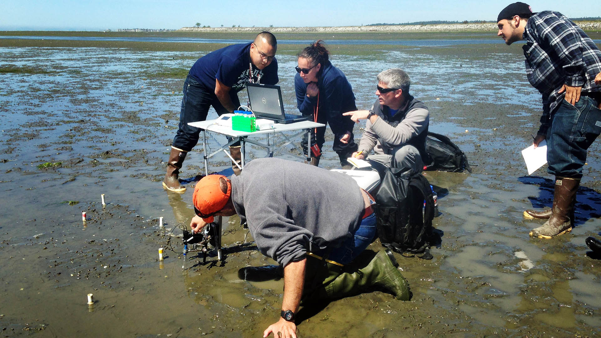 On a sunny day under clear blue skies, five people gather around a white folding table in an intertidal area. Four of them peer at a laptop screen while a fifth kneels down to adjust equipment secured in the exposed seafloor. 