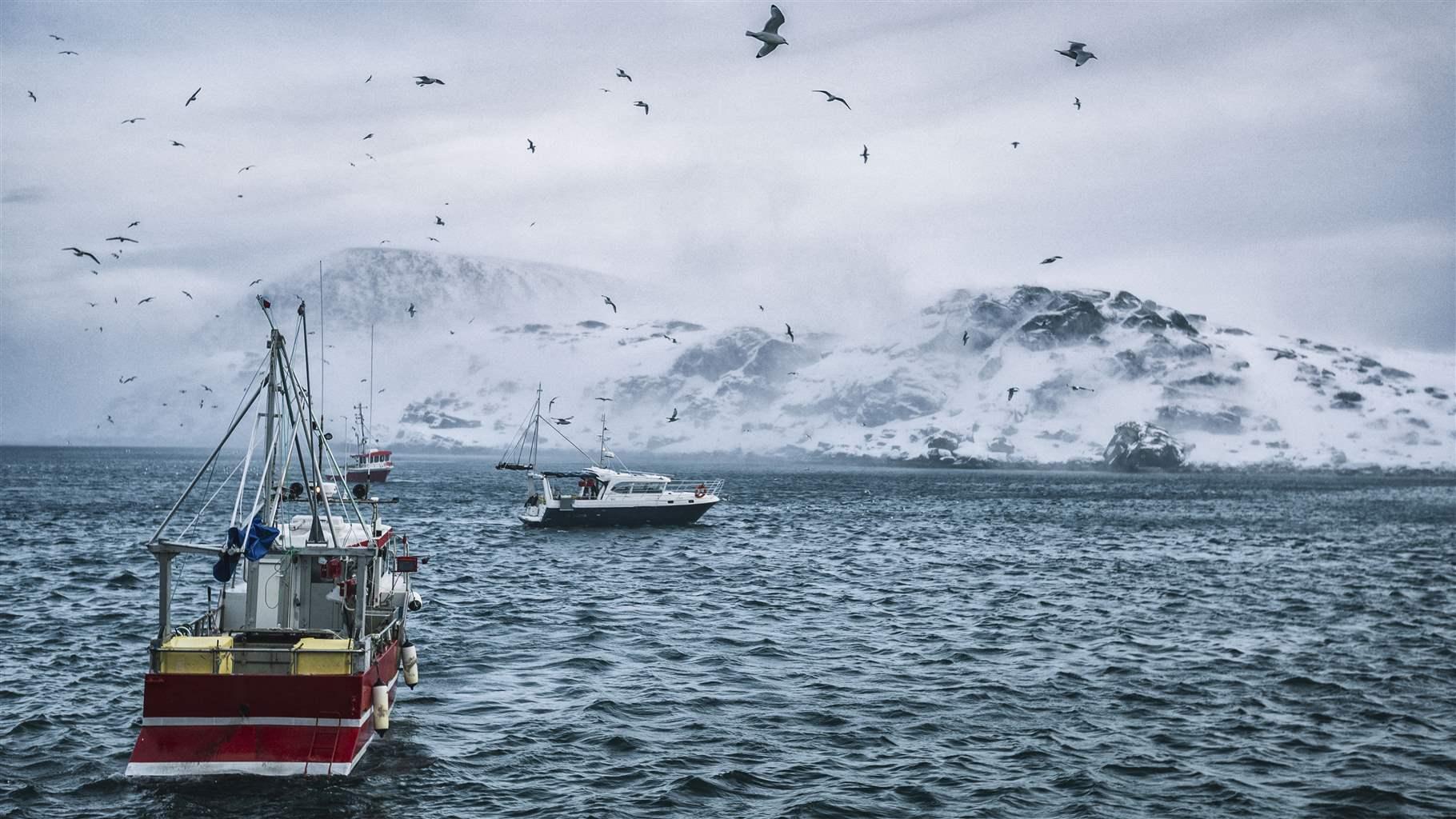  A red, yellow, and white fishing boat, and a black and white fishing boat, fish for cod on rough, dark gray waters on a cloudy day. Icy land is seen in the background, and birds fly overhead. 