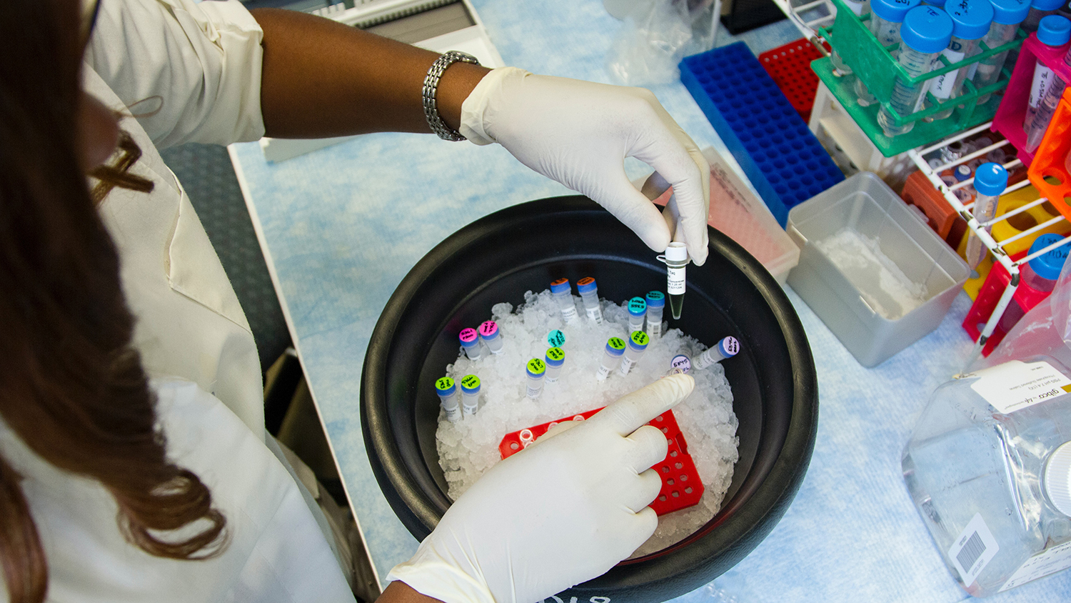 A pair of hands in latex gloves are handling small vials with bright colored caps. 