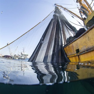 Harmful subsidies that governments pay to commercial fishing operators are one of the key drivers of overfishing. A long-awaited World Trade Organization agreement aims to tackle the problem and help ensure fisheries’ sustainability. 