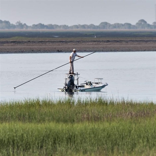 A man standing on an elevated platform on the back of a small, open-deck fishing boat uses a very long pole to push the boat through shallow waters in an area fringed by marsh grasses.