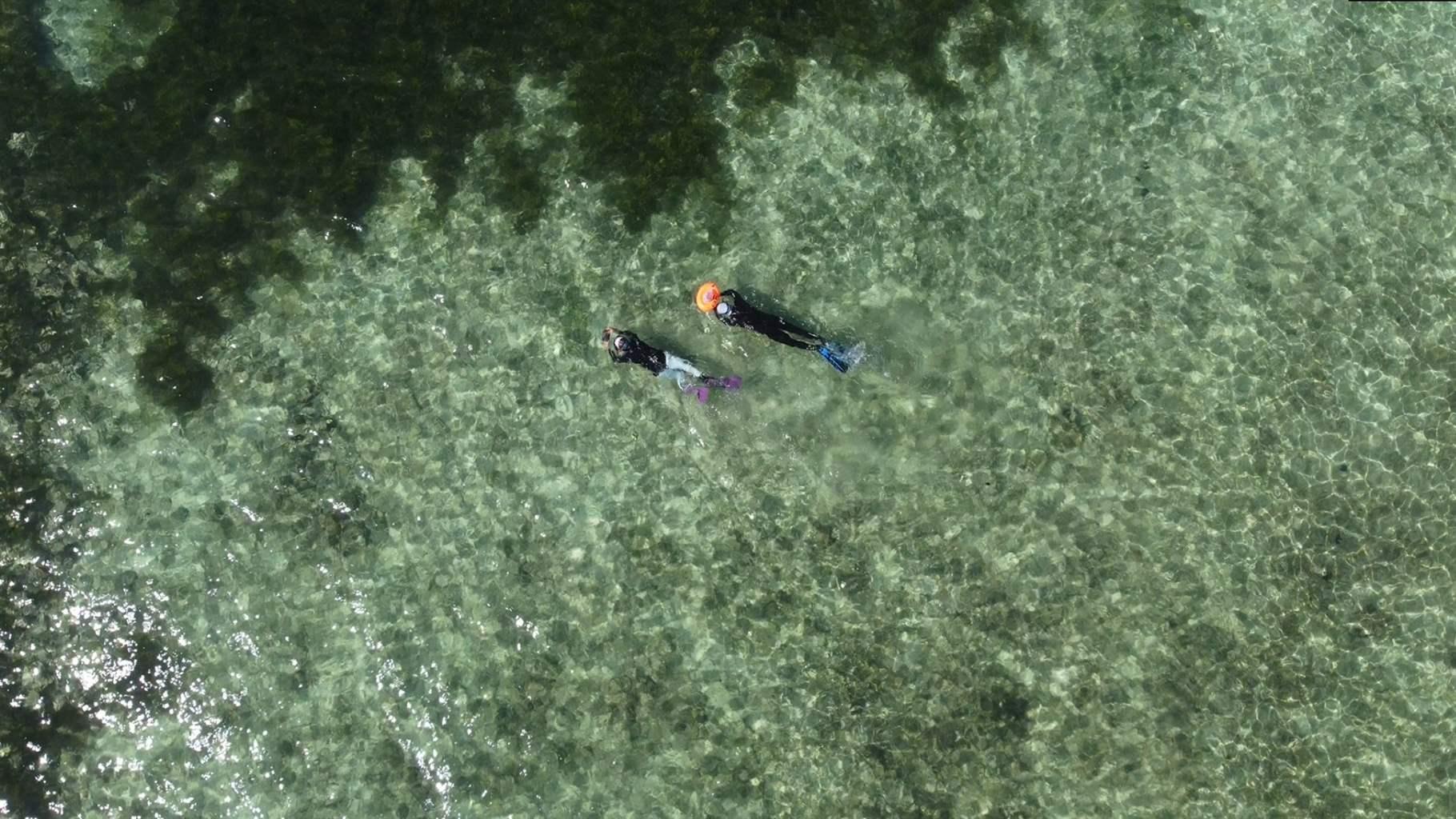 Two snorkelers, seen from directly overhead, glide through clear water over a pale-green ocean floor toward a dark-green patch of underwater vegetation.  