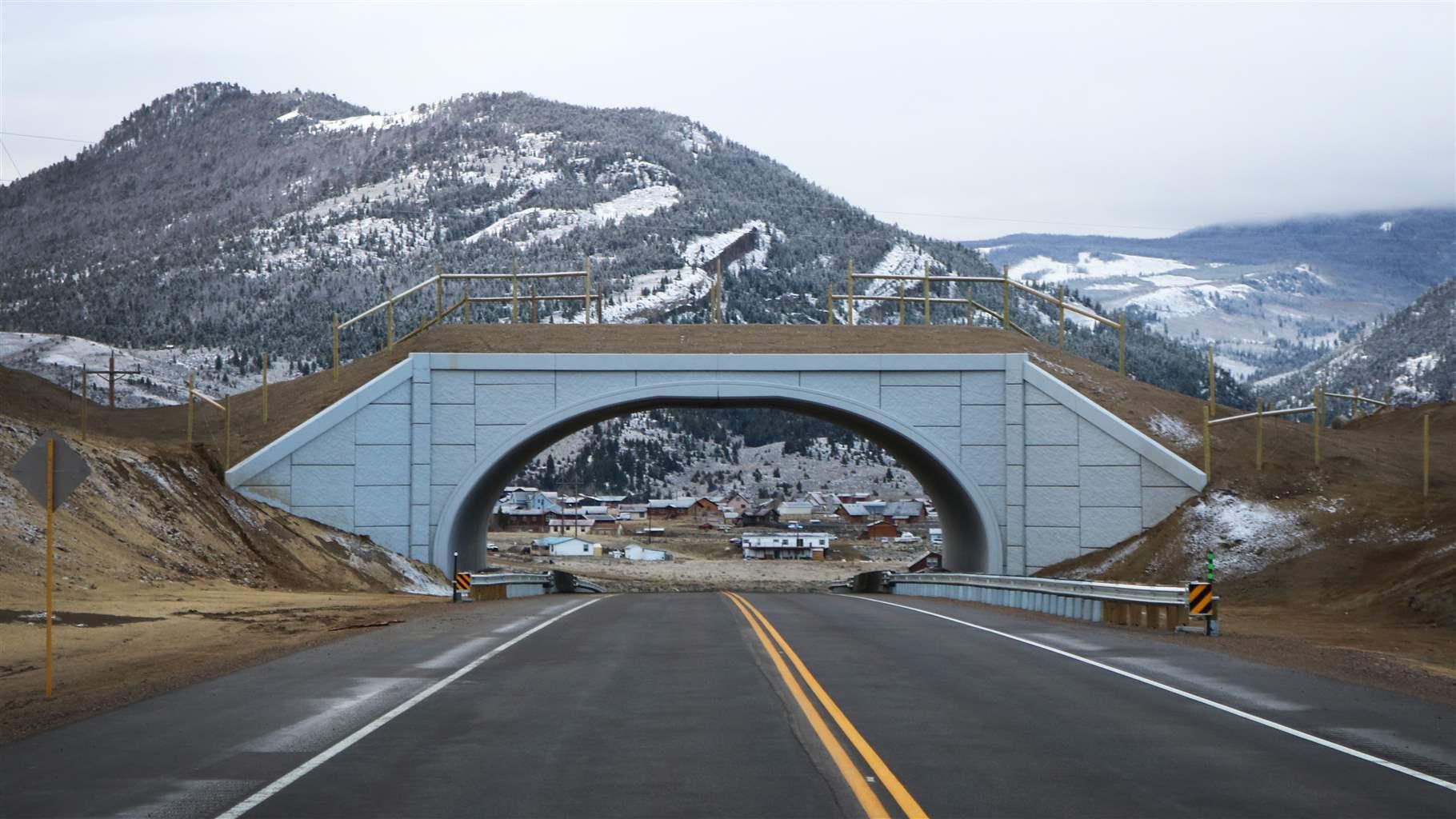 Driving in the Wild: Protecting Yourself and Wildlife - Creating dedicated wildlife crossings and corridors