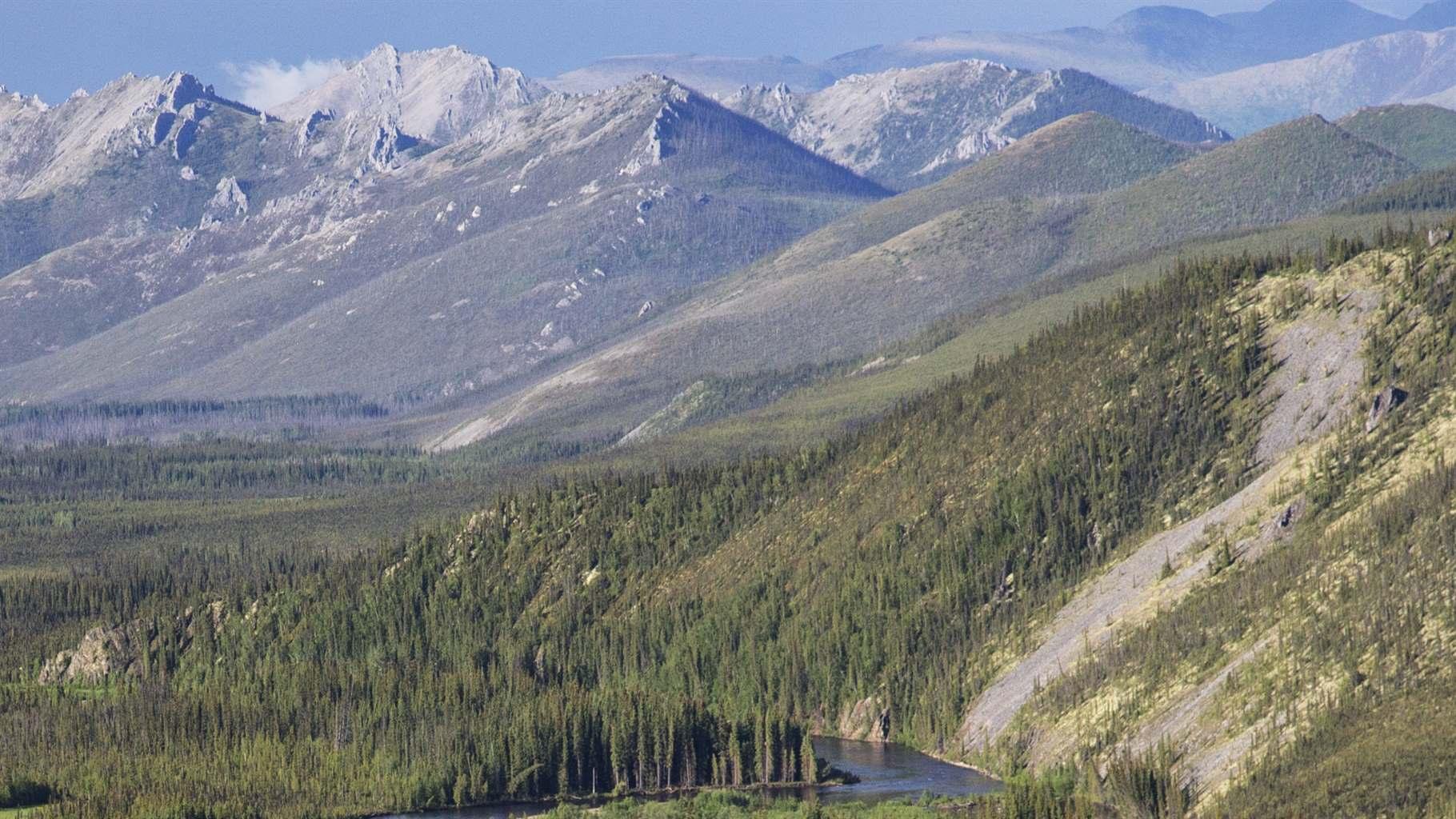 A blue river meanders through a broad valley of evergreen forest, with patches of open land, as large mountains rise around it on a sunny day. The mountains in the background have rocky peaks above the tree line, and some are snowcapped.