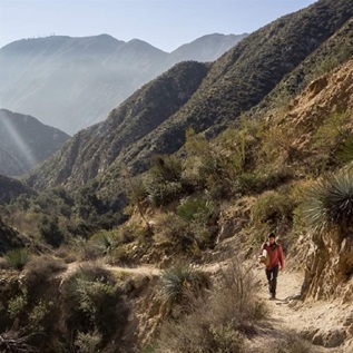 A hiker walks along a dry canyon trail flanked by desert shrubs with a mountain ridge rising in the background.