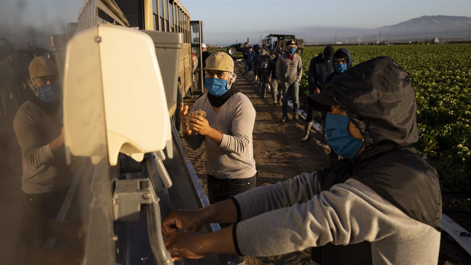 Masked farm workers line up at a hand washing station next to the field they are working. 