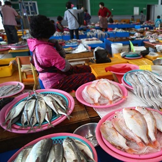 A fish stall offers 9 pink plates filled with a colorful variety of whole, uncooked fish for sale, with workers in jackets, one in pink and one in orange, sitting behind the counter. 