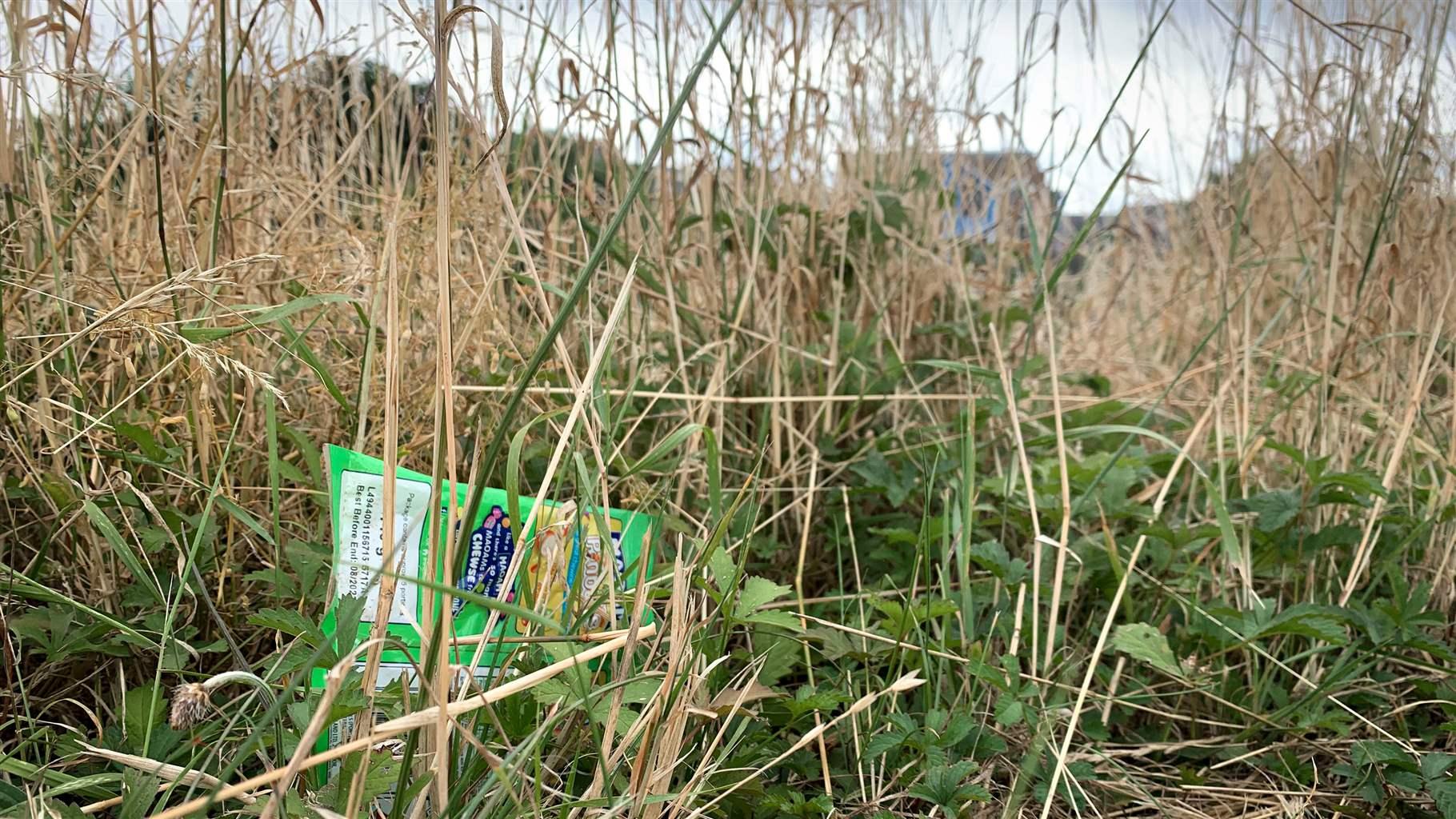 A small plastic snack bag—green with labeling that is white, blue, and yellow—lies amid reeds, weeds, and grasses. A house is faintly visible in the distant background. 
