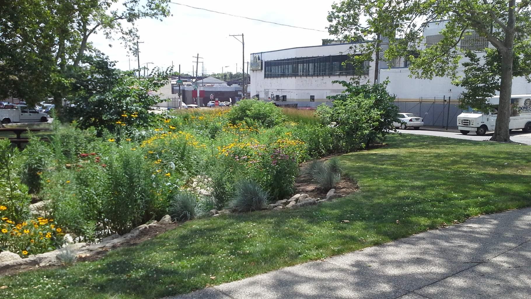 A concentrated area of landscaped bushes and stones sits in a slight depression behind a sidewalk and a small grassy area. Two mature trees are visible in the background, as is a roadway, a couple of vehicles, and a white-and-grey industrial building.  Credit: New Jersey Future