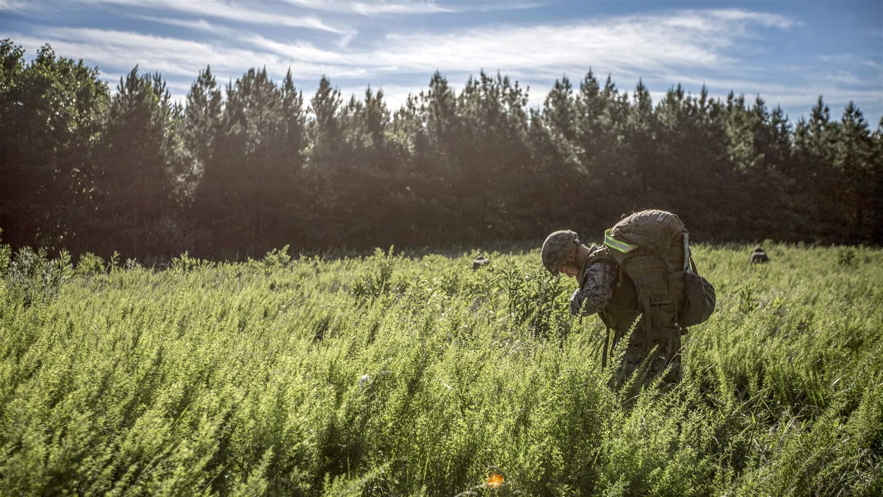 A man in combat fatigues, including a military helmet and rucksack, crosses an overgrown field with a forest in the background. 