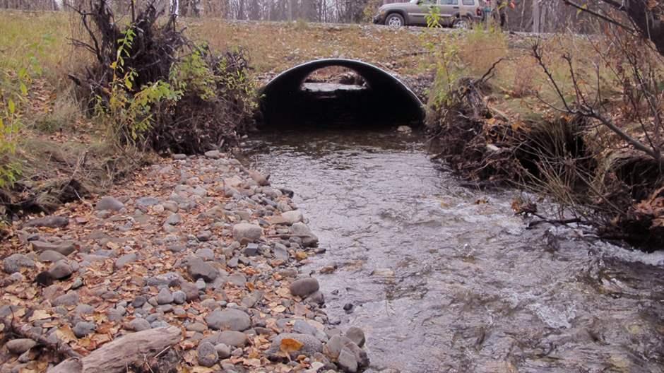 A fast-running creek, bordered by smooth stones on the left and a tree and other vegetation on the right, is crossed by a wide metal culvert in the background. A road, where a car and a fish and wildlife specialist stand, is on top of the culvert