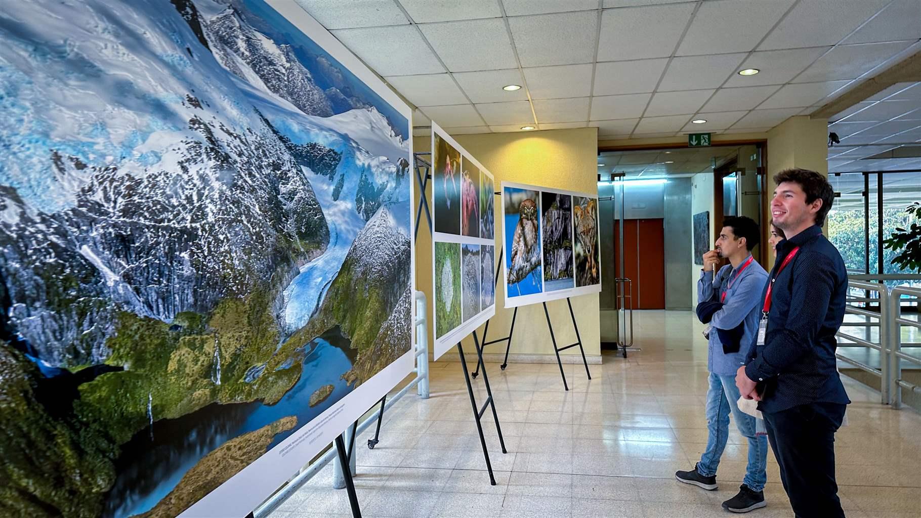 Three people pause in a hallway to look at large photographs displayed on a row of easels and showing some of Chilean Patagonia’s striking landscapes and wildlife. The scenes include various flora and fauna and, in the most prominent image on view, snow-topped mountains with an inky blue bay at their foothills.