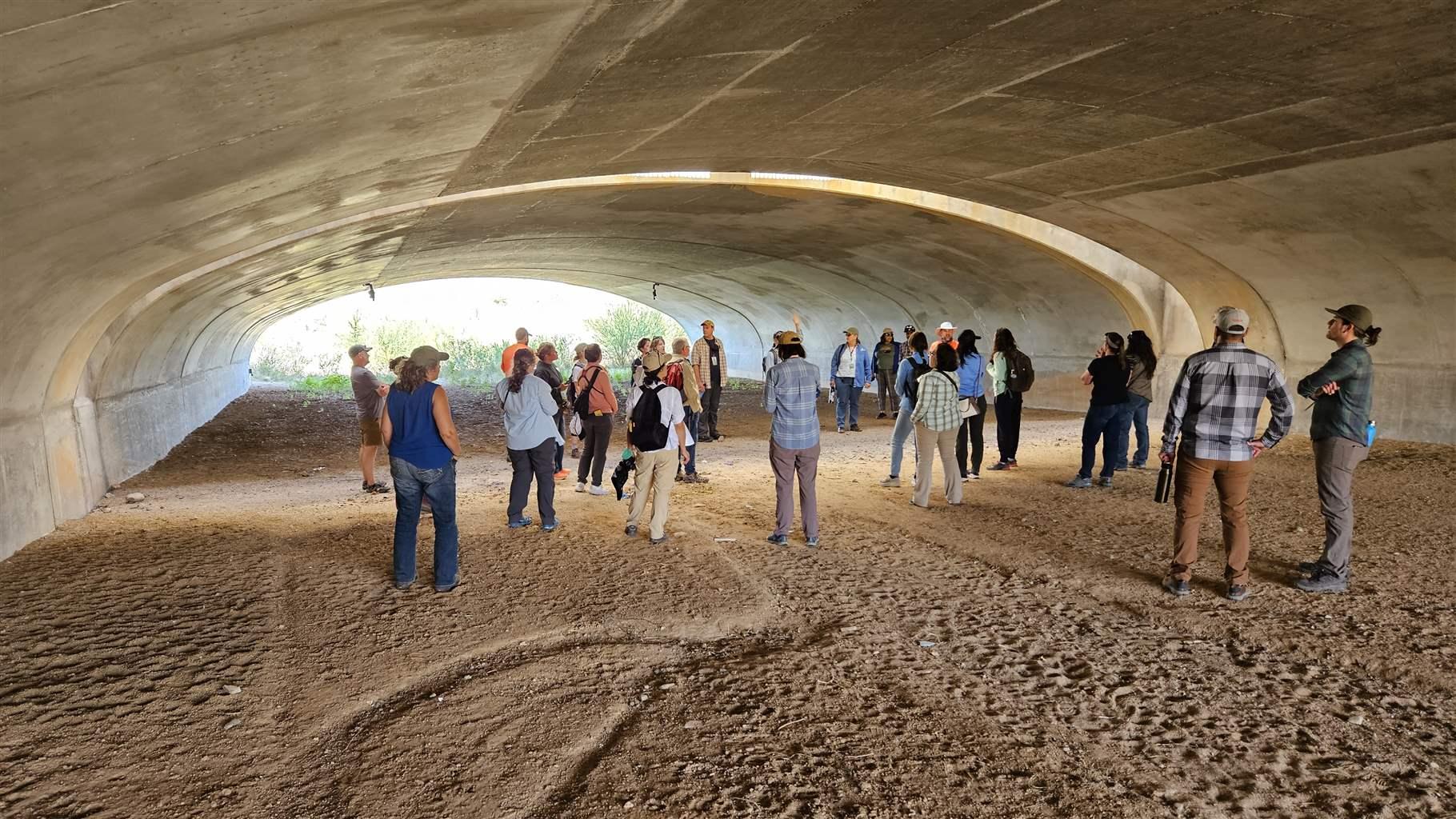 More than two dozen people in comfortable clothing stand on packed dirt below the arched concrete ceiling of a tunnel under State Route 77 north of Tucson.