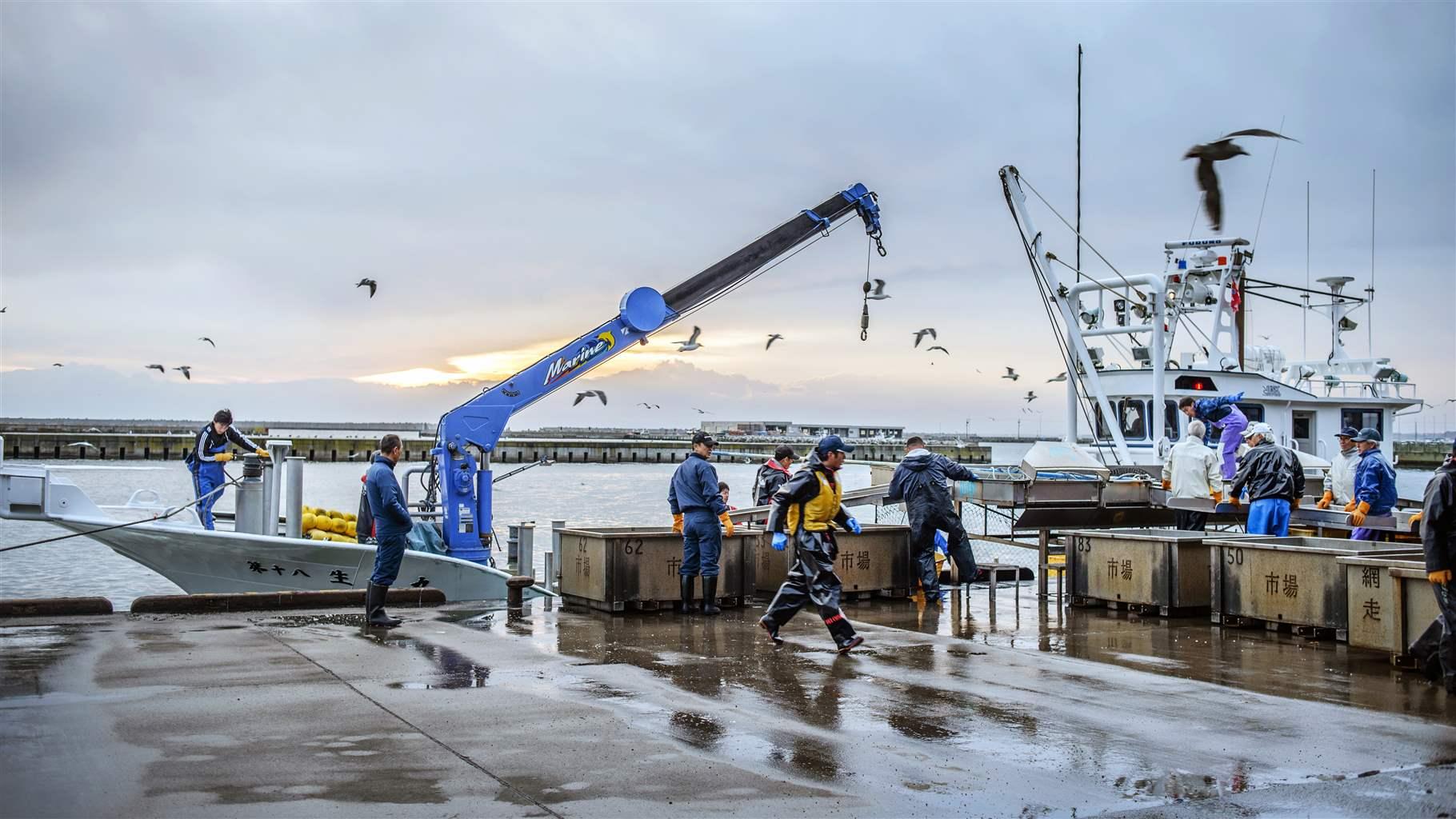 On a cloudy day at sunrise, a dozen men offload catch from a white fishing vessel onto the dock in Hokkaido Island, Japan. A smaller white boat with a blue crane waits nearby to help lift heavy loads. 