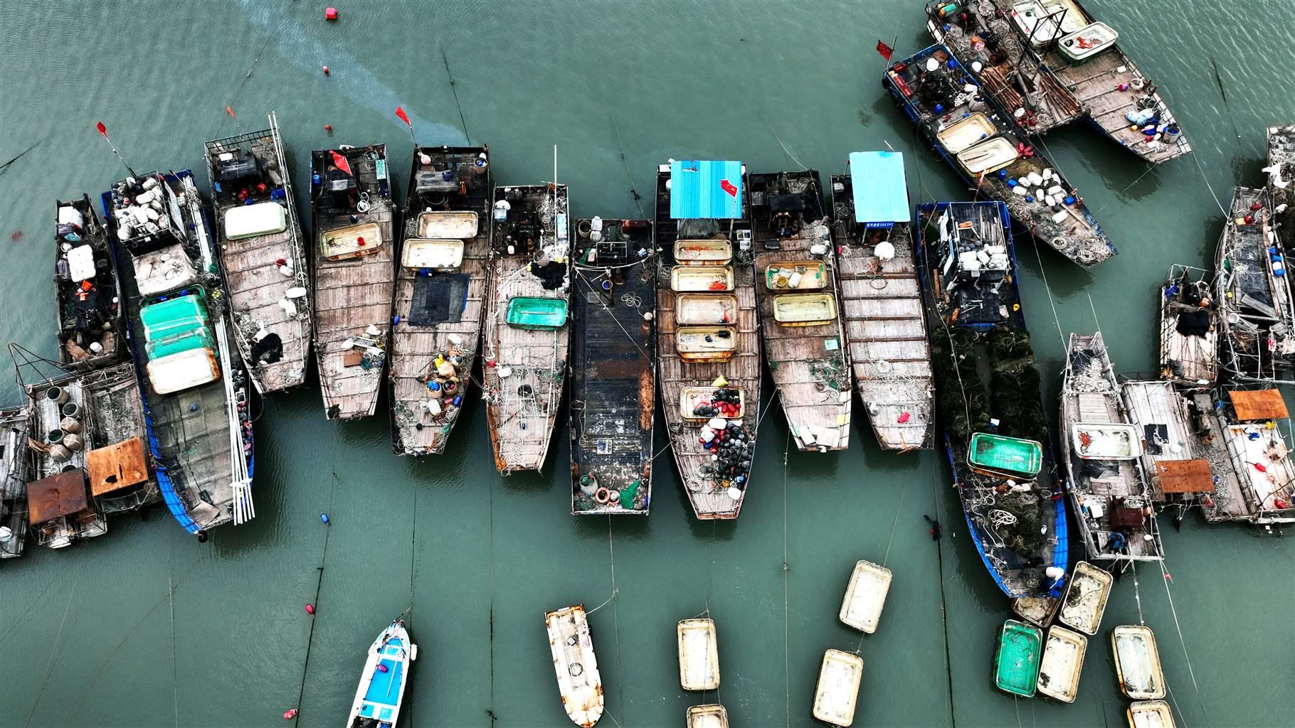 Nearly 20 small fishing boats, moored in gray-green water in a harbor near the Liandao Central Fishing Port in China, are viewed from above. The boats’ mostly gray decks hold boxes for the catch and have hulls in many colors and long anchor lines with blue, red and white buoys tying them to the dock, which is out of the frame.