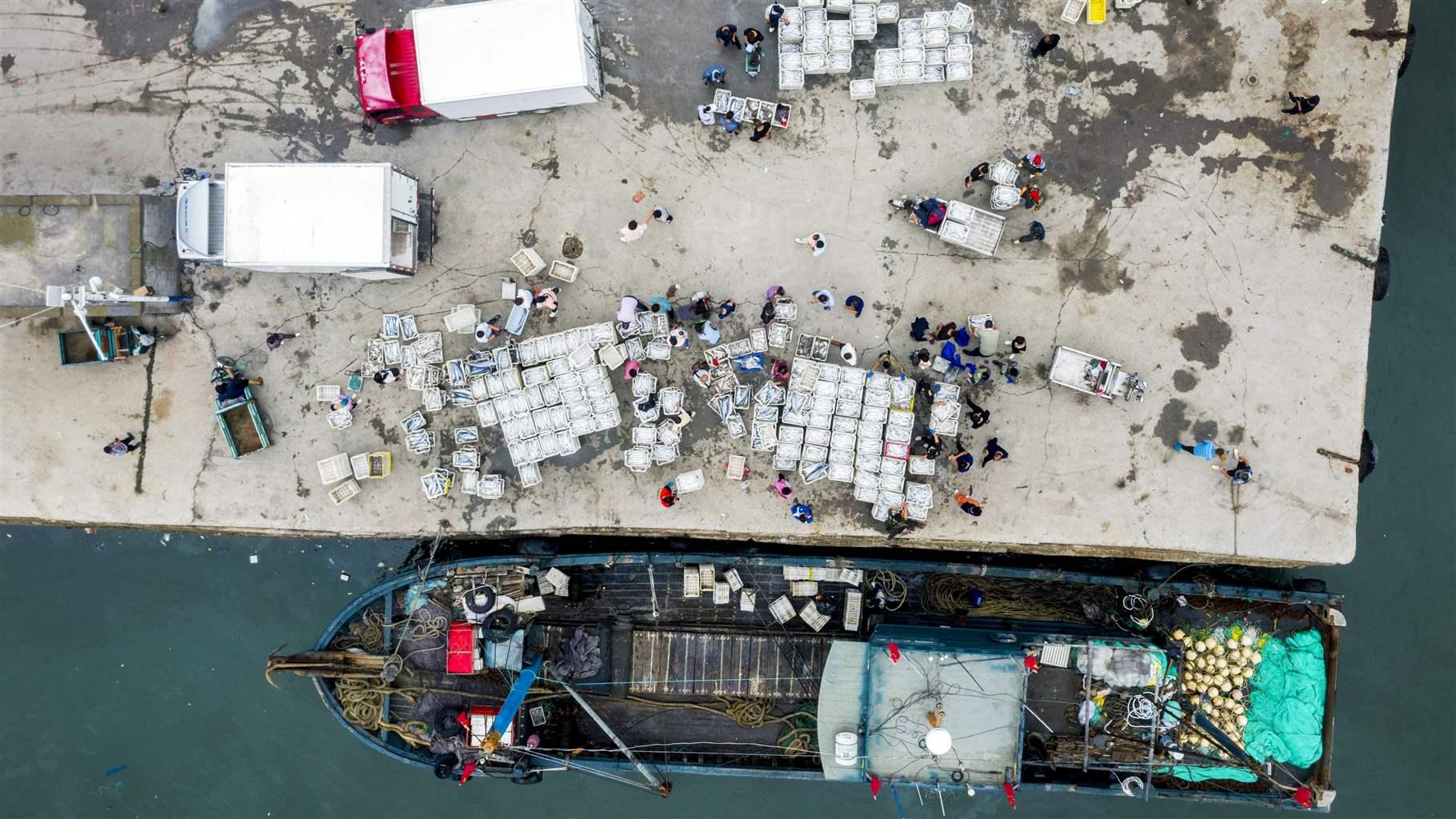 An aerial view of a blue-hulled fishing vessel with a dark deck offloading fresh catch at a port in Qingdao, China. Yellow and blue fishing nets and other colorful gear rest on the deck. Two trucks wait on the concrete dock, which is littered with large white boxes. 
