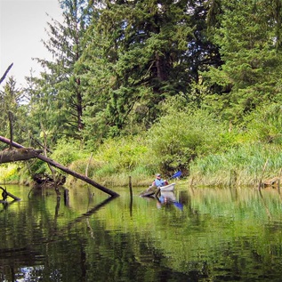 A person in a blue life jacket holding a double-ended paddle, propels a grey kayak through a river that runs through wetlands and forests. A collapsed tree rests above the waterway on the left.