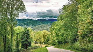 A two-lane road runs through hilly, forested terrain, with vibrant green grass and green- and yellow-leafed trees on each side of the pavement. A small house is visible at the bottom of the road, and  larger forested mountains fill the horizon beyond it.