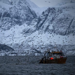 A black and white fishing trawler, with its net in the water and an orange light glowing from within the cabin, is followed by dozens of black seabirds. The breaching fin of an orca whale is visible on the dark surface of the water, and a rocky, snow-covered mountain rises from the sea in the background.