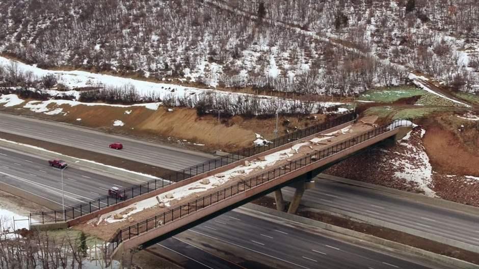 An aerial view of a dirt- and snow-covered bridge—built specifically for wildlife—over a multilane highway. On each side of the highway are hills with patches of snow and leafless trees. Multiple cars are passing under the crossing.