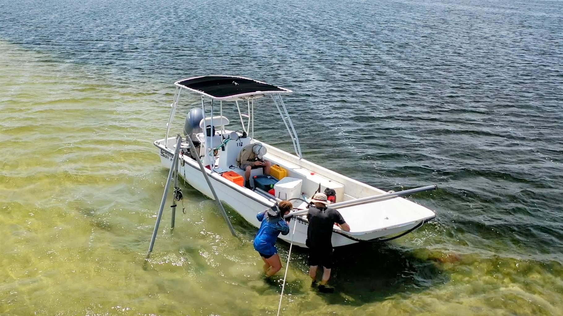 A flat-bottomed boat floats above visible underwater vegetation on the edge of deeper water, under slightly overcast skies. Two people stand in the shallow water and work with equipment moored to the boat. A third person sits in the boat under the pilot house canopy.