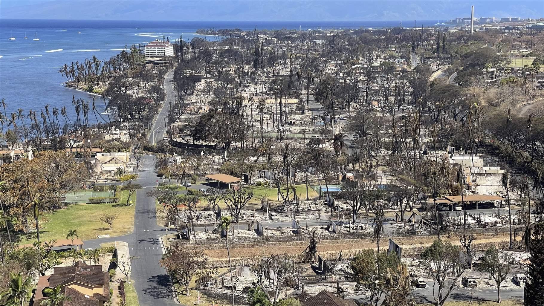 An overhead view of an area full of fire-damaged trees and the foundations of buildings destroyed by fire. In the distance is the ocean and a few houses still stand at the bottom, near the edge of the area destroyed by fire. 