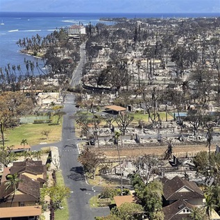 An overhead view of an area full of fire-damaged trees and the foundations of buildings destroyed by fire. In the distance is the ocean and a few houses still stand at the bottom, near the edge of the area destroyed by fire. 