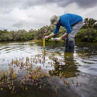 A person in wader boots stands in shallow water with partially submerged vegetation and dips a yellow ruler into the water. Bushes and a blue sky with clouds fill in the background. 