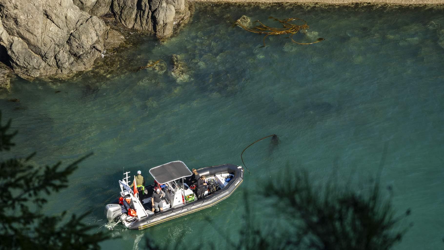 An aerial view shows a small boat with an outboard motor and three people on board anchored in a rock- and tree-lined cove of clear, aquamarine water. 