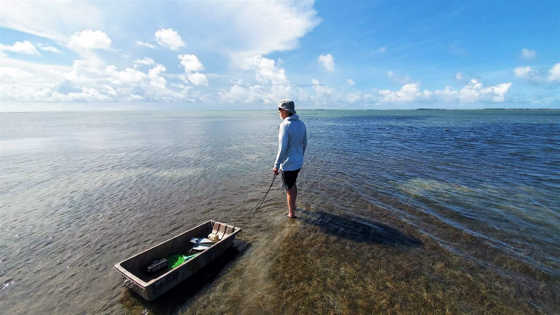 A man stands in ankle-deep waters under a blue sky and prominent clouds holding a tow line tethered to a small, flat-bottomed boat. Seagrasses are visible beneath the surface of the water. 