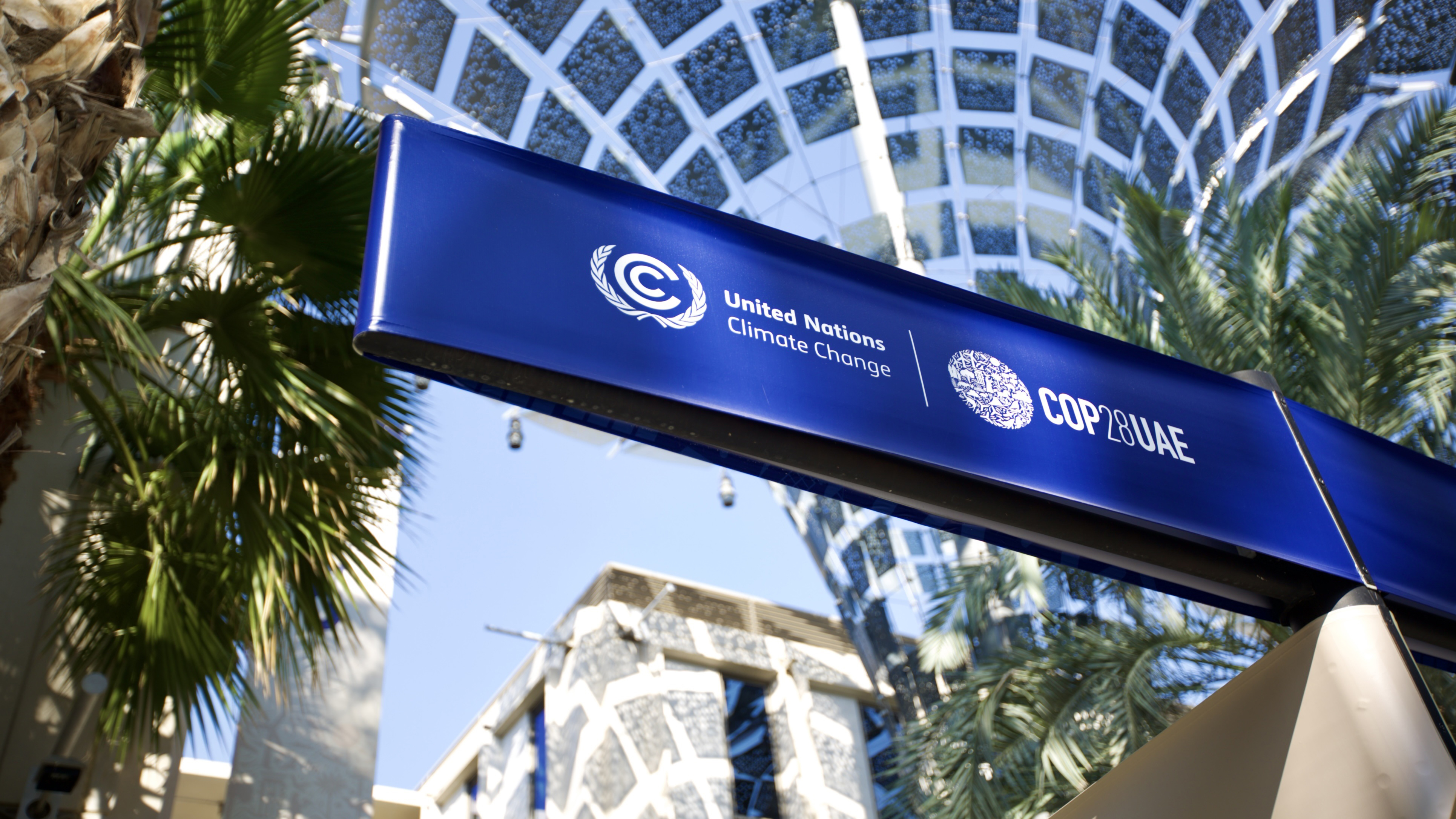 A blue banner with white United Nations logos and writing stretches above an outdoor pedestrian area. Palm trees and parts of buildings are visible around and behind the banner.