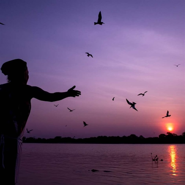 A person with their arms out toward birds flying at sunset over the Paraguay River in Caceres, Brazil.