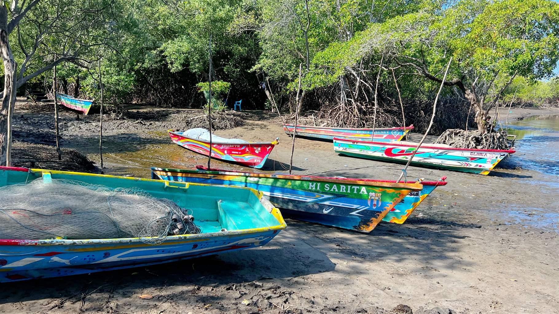 Six multicolored boats—painted in shades of blue, red, yellow, and green—dot wet sand near the river’s shoreline. Mangroves line the shore behind the boats and gently reach toward the blue sky.