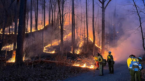 A groundfire snakes between a heavily treed, mountainous area. The ground is covered in leaves, which is bordered by a gravel road where rescue workers stand.