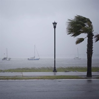  View from the street of three sailboats on the water during a hurricane. A sidewalk runs along the shore and a wind-blown palm tree is on the right.