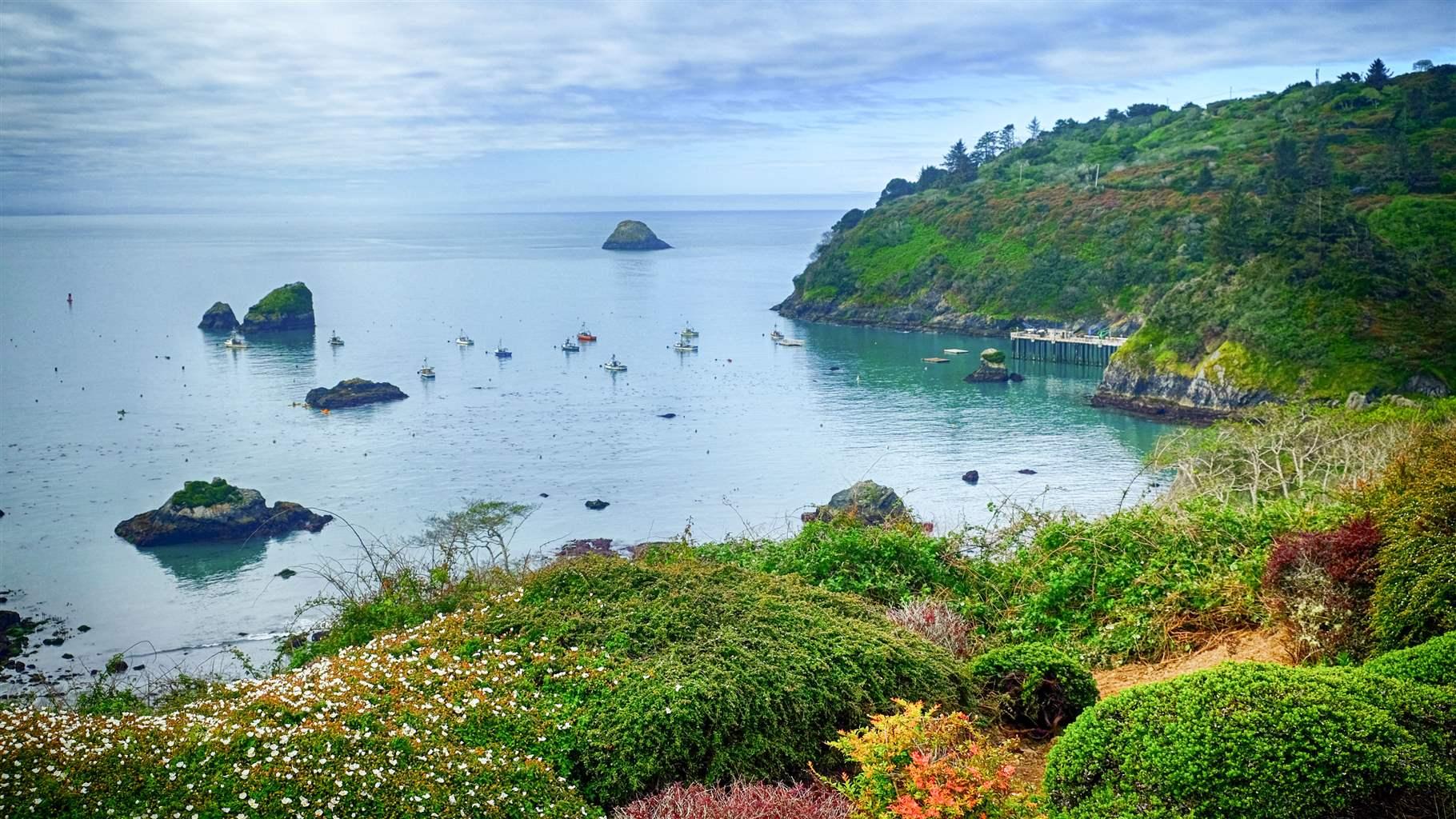 Rugged hills covered in verdant vegetation—including some colorful flowering bushes—rise from glassy, dark blue ocean waters. A handful of rock formations jut from the water just offshore, with around a dozen small fishing boats between those rocks and the shoreline. 