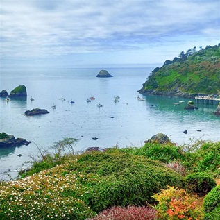 Dark blue ocean water is speckled with near-shore black rocks, and green plants and flowering bushes are along the shoreline in the foreground and right side of the photo. 