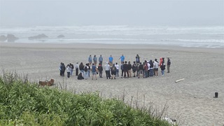 Several people stand in a circle on a white sandy beach with breaking ocean waves and a few large rocks visible through coastal fog behind them, and green vegetation in the foreground.