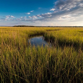 Green and yellow marsh grasses, bisected by a narrow ribbon of water, stretch to a distant horizon, with the lower half of the blue sky obscured by thin clouds.
