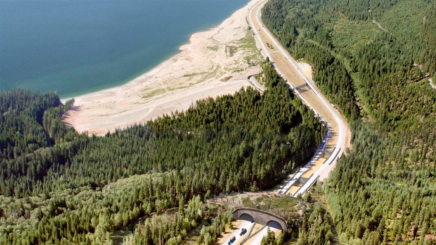 Vegetation covers a wildlife bridge that links forested areas bisected by a highway; a deep blue body of water with a sandy shore is visible beyond the tree line. 