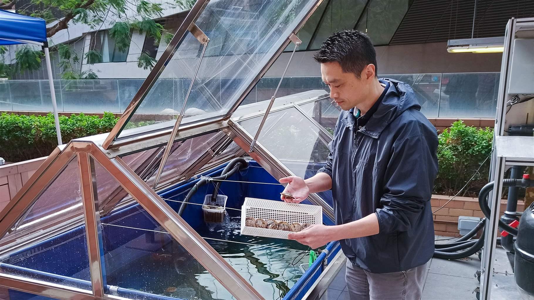 A man standing next to a blue outdoor tank with an open glass lid looks at an oyster that he is holding in his hand. With his other hand, he holds a small white tray containing several other oysters.