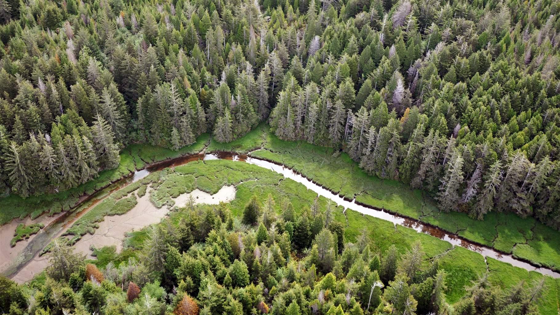 An aerial photo shows a snaking body of water flowing through woods.  