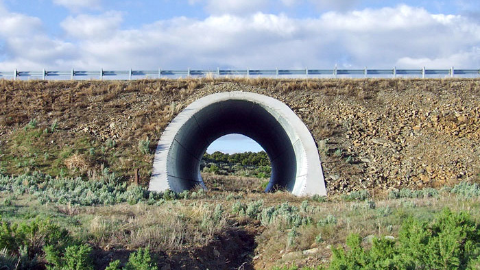 A round concrete tunnel crosses under a highway lined by a steel guardrail. A landscape of low brush fills the foreground and a treed hill is visible through the tunnel. The sky above is blue with puffy white clouds.