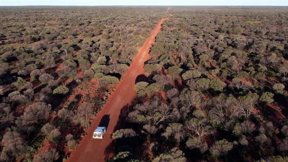 An aerial view of a white vehicle traveling on a red dirt road stretching to the horizon. On either side of the road are mulga trees.