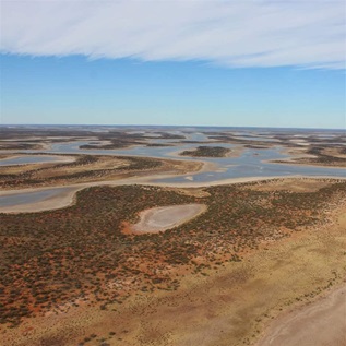 An aerial view of a vast wetland, with scattered vegetation visible on sandy islands.