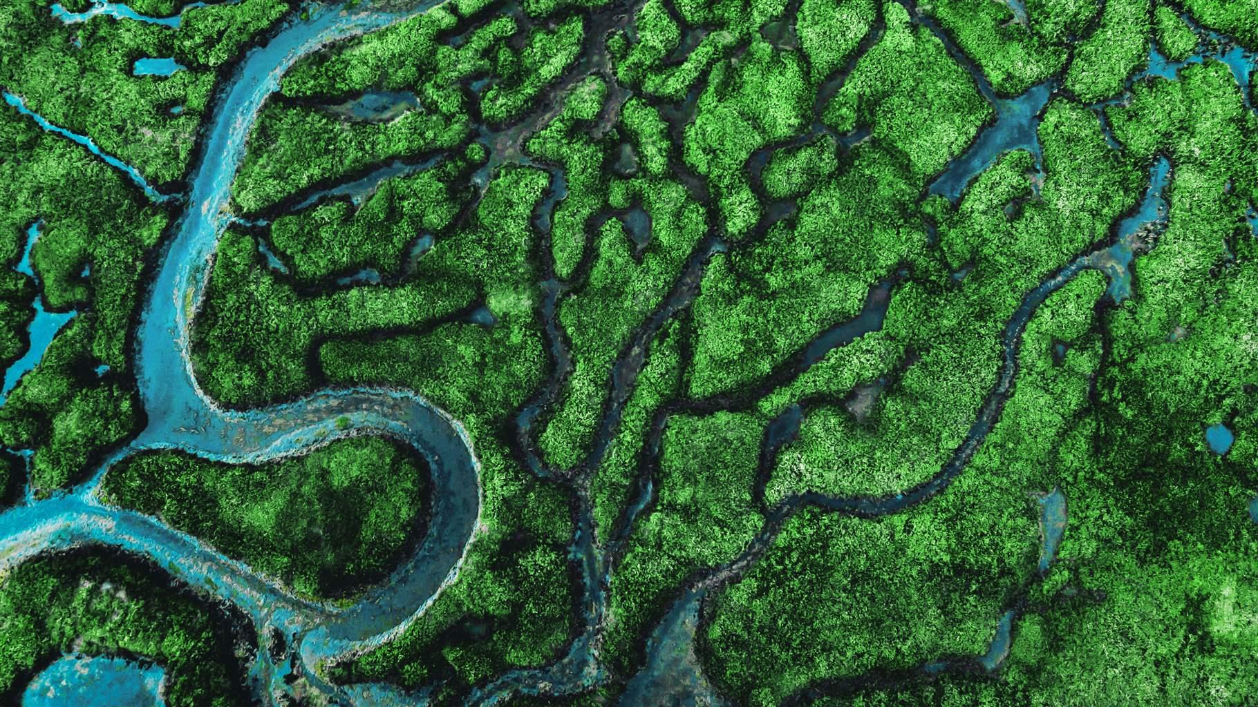 Aerial view of a meandering river surrounded by lush greenery and numerous smaller feeder streams. The river curves its way through the landscape, reflecting the sunlight. The colors of the foliage contrast with the blue water. Aerial view of a meandering river surrounded by lush greenery and numerous smaller feeder streams. The river curves its way through the landscape, reflecting the sunlight. The colors of the foliage contrast with the blue water.