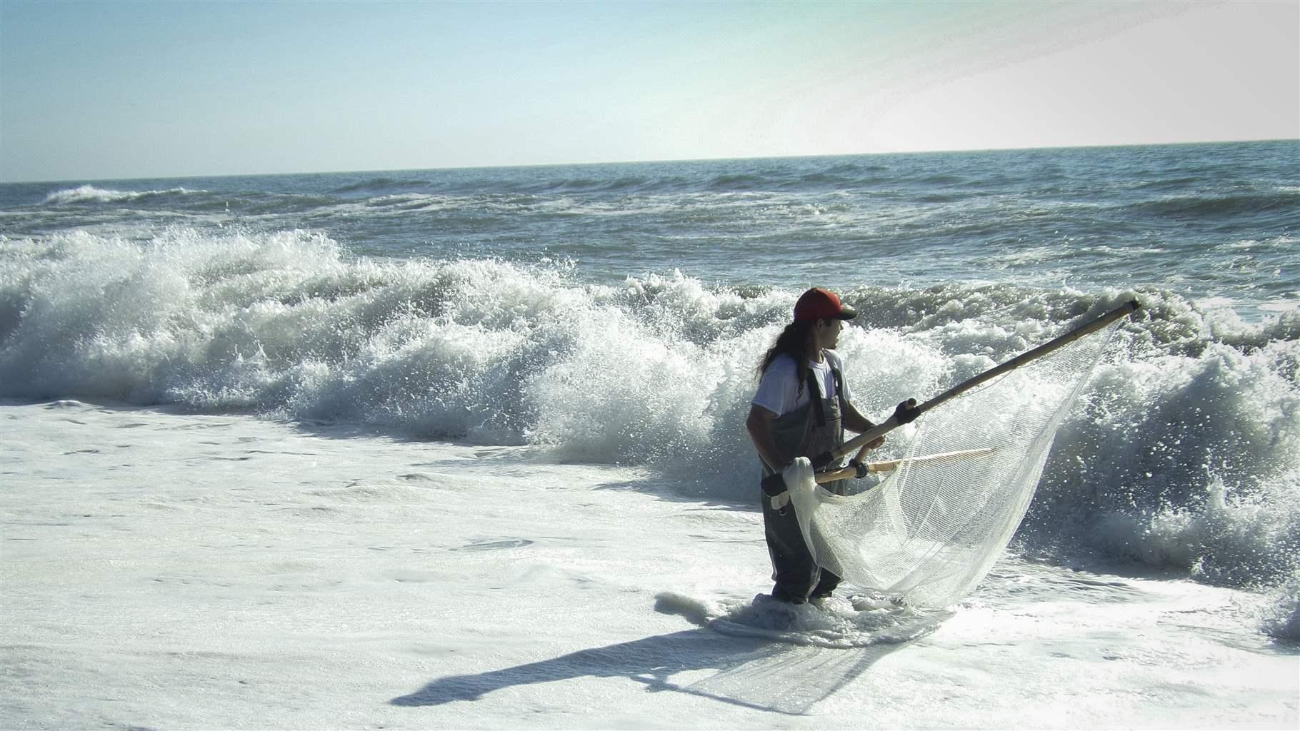 A person stands in the ocean surf with a fishing net.